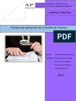 AUDITORIA.docx