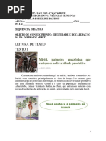 SD PALMEIRA DE MIRITI.pdf