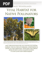 Iowa Woodlands Vital Habitat For Native Pollinators