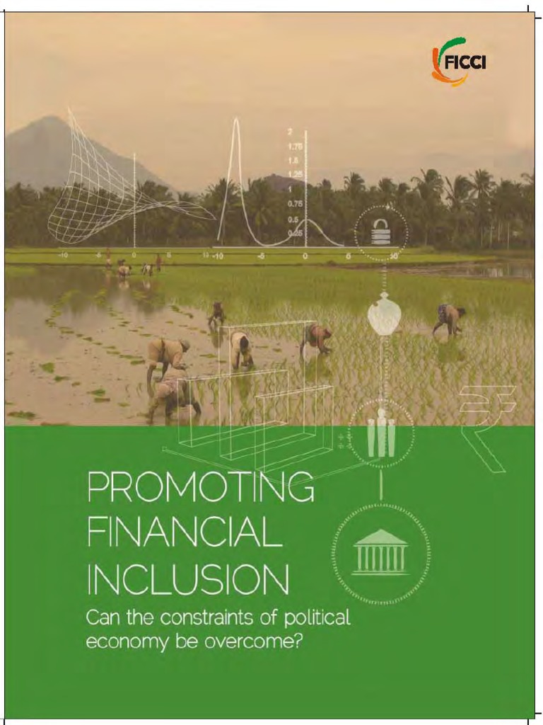 Promoting Financial Inclusion Can The Constraints of Political Economy ...