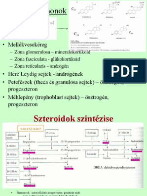 Endokrin4 Szteroidok MVK Nemi | PDF