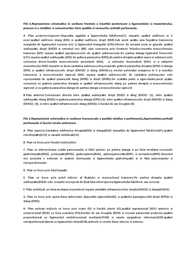 FIG Peritoneu | PDF