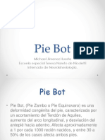pie bot pdf.pptx