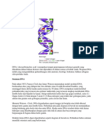 Struktur DNA