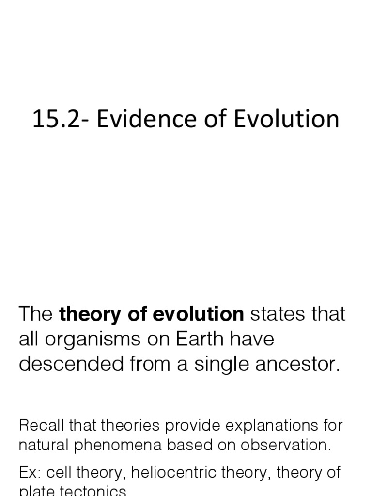 Evidence Of Evolution Pdf – Understanding Evolution – FHKJ