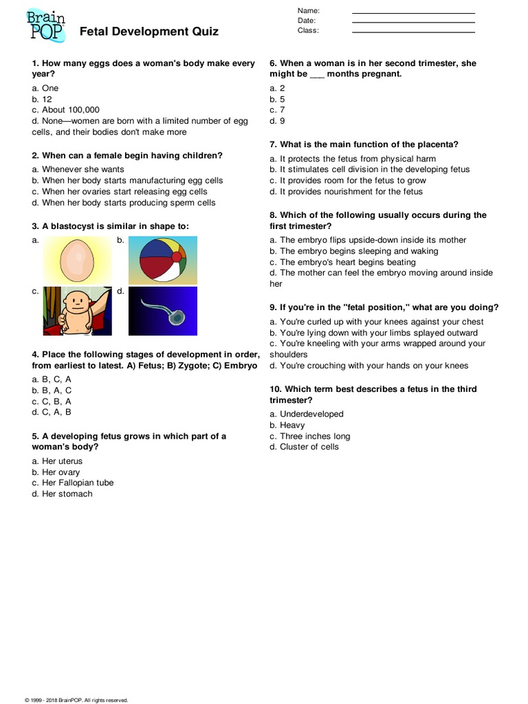 Genetics Growth and Development Quiz | PDF | Fetus | Embryo