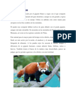 El Panda Rojo