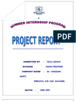 Project Report Job Satisfaction