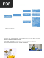 263257253 Cuadro Sinoptico Romero