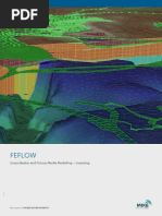 FEFLOW Licensing