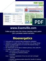 Bioenergetics