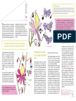 Paper_Schizanthus.pdf