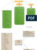 Plan de Cuentas, Organizador .