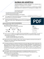 A17 Problemasdegenetica PDF