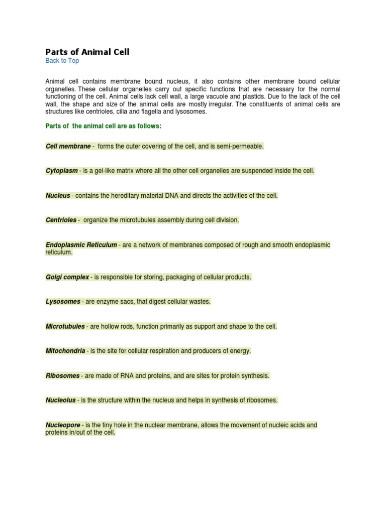 ANIMAL CELL PARTS PDF visual data 6