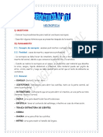 PRACTICA 01.docx