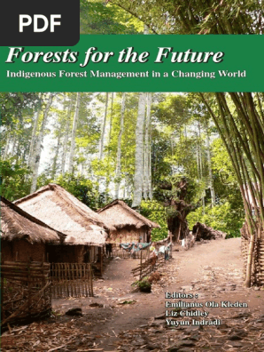 Forest For The Future Pdf Pdf Indonesia Forestry