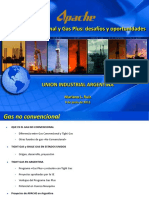 3469_110609 Ruiz UIA Gas No Convencional (9-jun-11) (1).pdf
