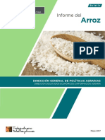 boletin-informe-arroz_final (2).pdf