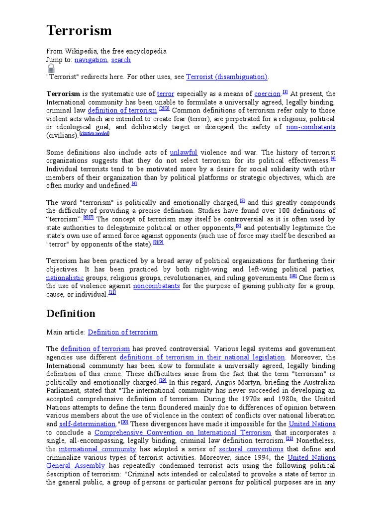 Terrorism essay 2 07 image