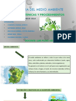 NORMASTECNICAS Y PROCEDIEMNTO DE AMA - Expo PDF