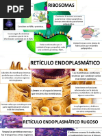 infogramas [Autoguardado]