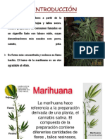 Marihuana