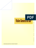 Visualizasao_General_SAP.pdf