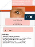 Bimbingan Palpebra Dan Sistem Lakrimal