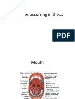 Digestion in the Mouth, Pharynx, Esophagus and Stomach