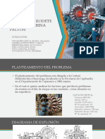 Turbina Pelton Diapositivas