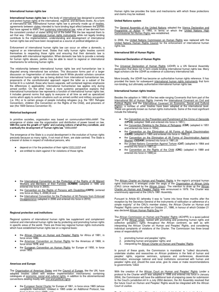 Overview of International Human Rights Law | PDF | International Human ...