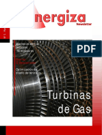 Revista Energiza Marzo 2010