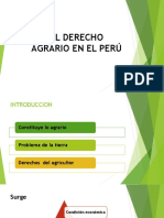 EL DERECHO AGRARIO EN EL PERÚ.pptx