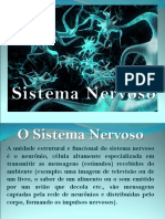 Slides Sistema Nervoso 8 Anos