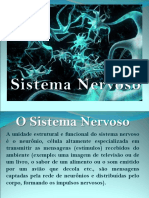 SNC e SNP: Estrutura e Função do Sistema Nervoso