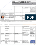 Adrenal Gland - surgical pathology