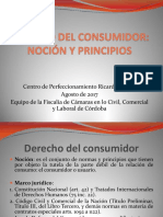 1-DERECHO-DEL-CONSUMIDOR-Nocion-y-principios-Centro-Nunez-2017.pdf