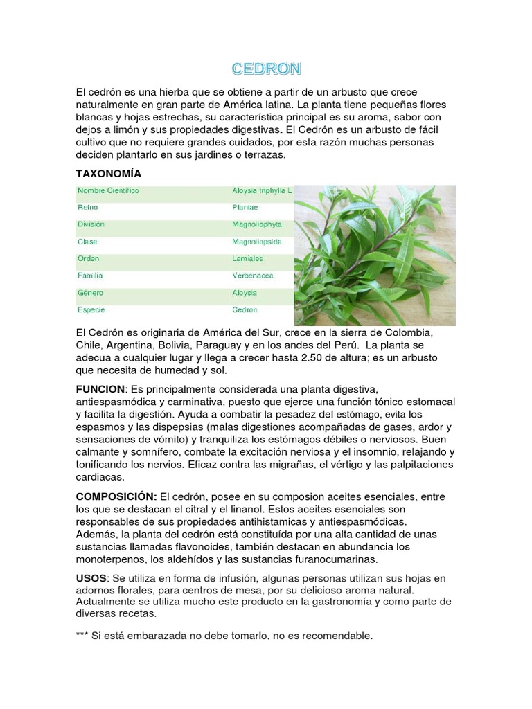Propiedades y usos del cedrón paraguayo | PDF