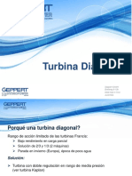 Turbina Diagonal 