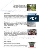 Actividades Economicas de Guatemala