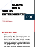 Metabolisme Bilirubin