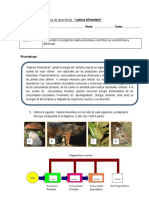 guia acumulativa cadenas alimentarias 6° miércoles 30.05.pdf