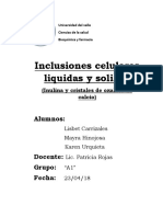 Inclusiones Celulares Liquidas y Solidas