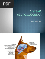 Doenças Do Sistema Neuromuscular
