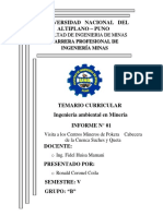 Informe de Visita Tecnica