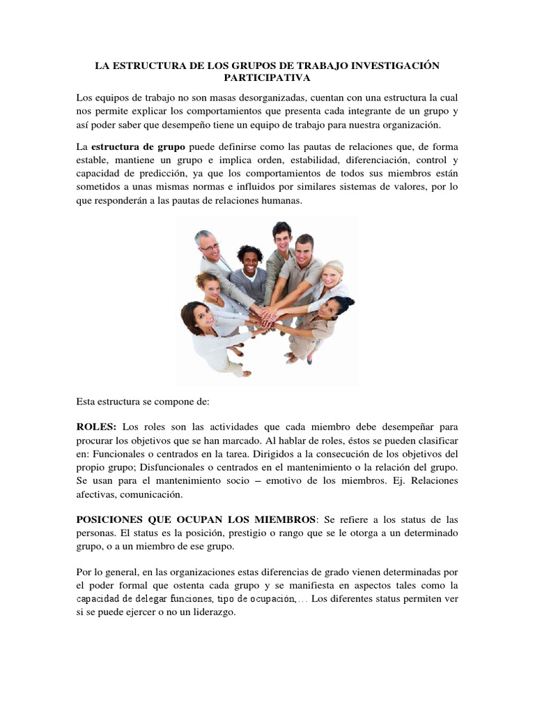 La Estructura de Los Grupos de Trabajo Investigación Participativa ...