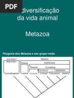 Metameria: Segmentação em Animais | PDF