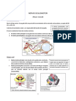 Clase 6 Neuro Profe Felipe