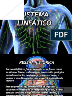 Sistema Linfatico